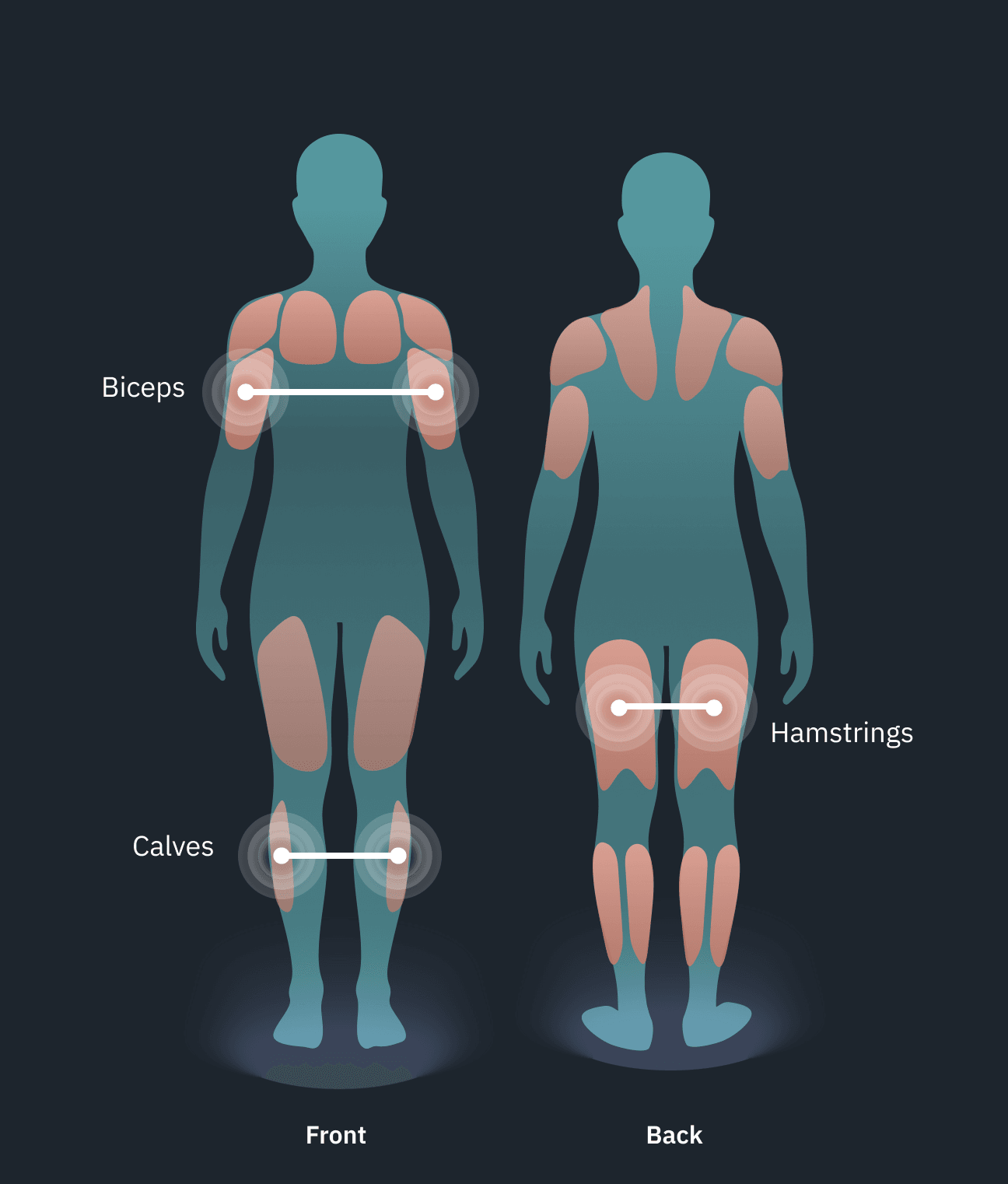 Muscle balance mode - pod placement on matching muscle groups
